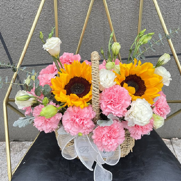 【倾心】11朵康乃馨鲜花手提篮送长辈看探望病人惊喜礼物鲜花手提篮花店送花上门