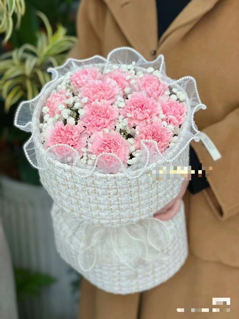 【感恩妈妈】11朵粉色康乃馨满天星小香风花束