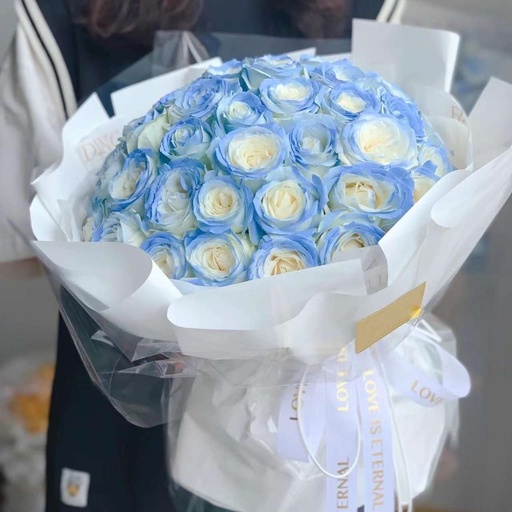 [HZY001086] 【星辰予你】52枝碎冰蓝玫瑰花喷色生日花束送爱人送女友送长辈送朋友鲜花店配送RO