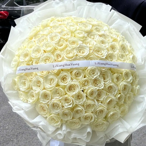 [HZY001095] 【指明前路】99枝白玫瑰花表白求婚告白订婚大花束鲜花店送花上门生日礼物WRO
