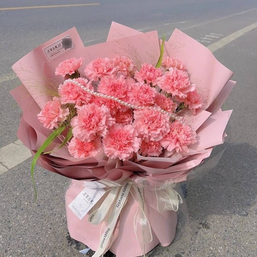 [HZY000186] 【安康】19枝粉康乃馨配喷泉草花束送长辈送妈妈母亲节礼物