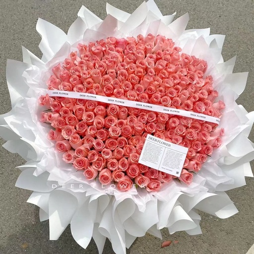 [HZY000266] 【甜心宝贝】199朵粉玫瑰巨型花束求婚花束生日花束纪念日花束附近花店送花上门