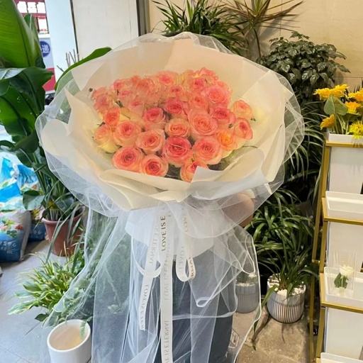 [HZY000279] 【仙女的礼物】33朵艾莎粉玫瑰白纱款鲜花花束送爱人送朋友仪式感附近花店送花上门