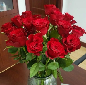 [HZY001790] 【家居鲜花实付满28元配送 不含花瓶】1枝红玫瑰家居鲜花