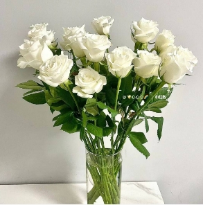 [HZY001785] 【家居鲜花实付满28元配送 不含花瓶】1枝白玫瑰家居鲜花