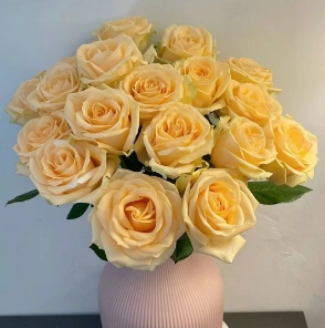 [HZY001794] 【家居鲜花实付满28元配送 不含花瓶】1枝香槟玫瑰家居鲜花