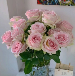[HZY001787] 【家居鲜花实付满28元配送 不含花瓶】1枝粉玫瑰家居鲜花