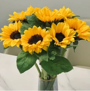 [HZY001775] 【家居鲜花实付满28元配送 不含花瓶】1枝向日葵家居鲜花
