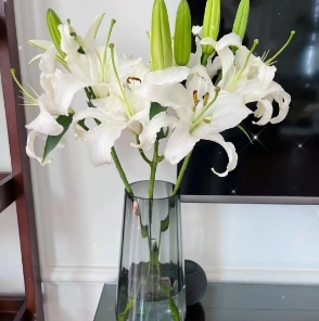 [HZY001786] 【家居鲜花实付满28元配送 不含花瓶】1枝白色百合家居鲜花