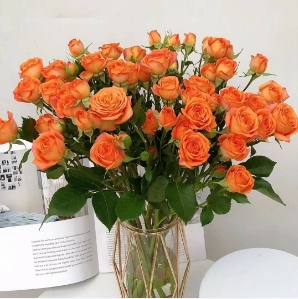 [HZY001780] 【家居鲜花实付满28元配送 不含花瓶】1枝橙色芭比家居鲜花