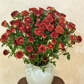 [HZY001776] 【家居鲜花实付满28元配送 不含花瓶】1枝巧克力泡泡家居鲜花