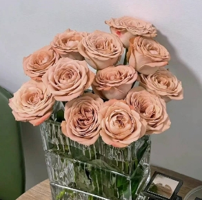 [HZY001774] 【家居鲜花实付满28元配送 不含花瓶】1枝卡布奇诺家居鲜花